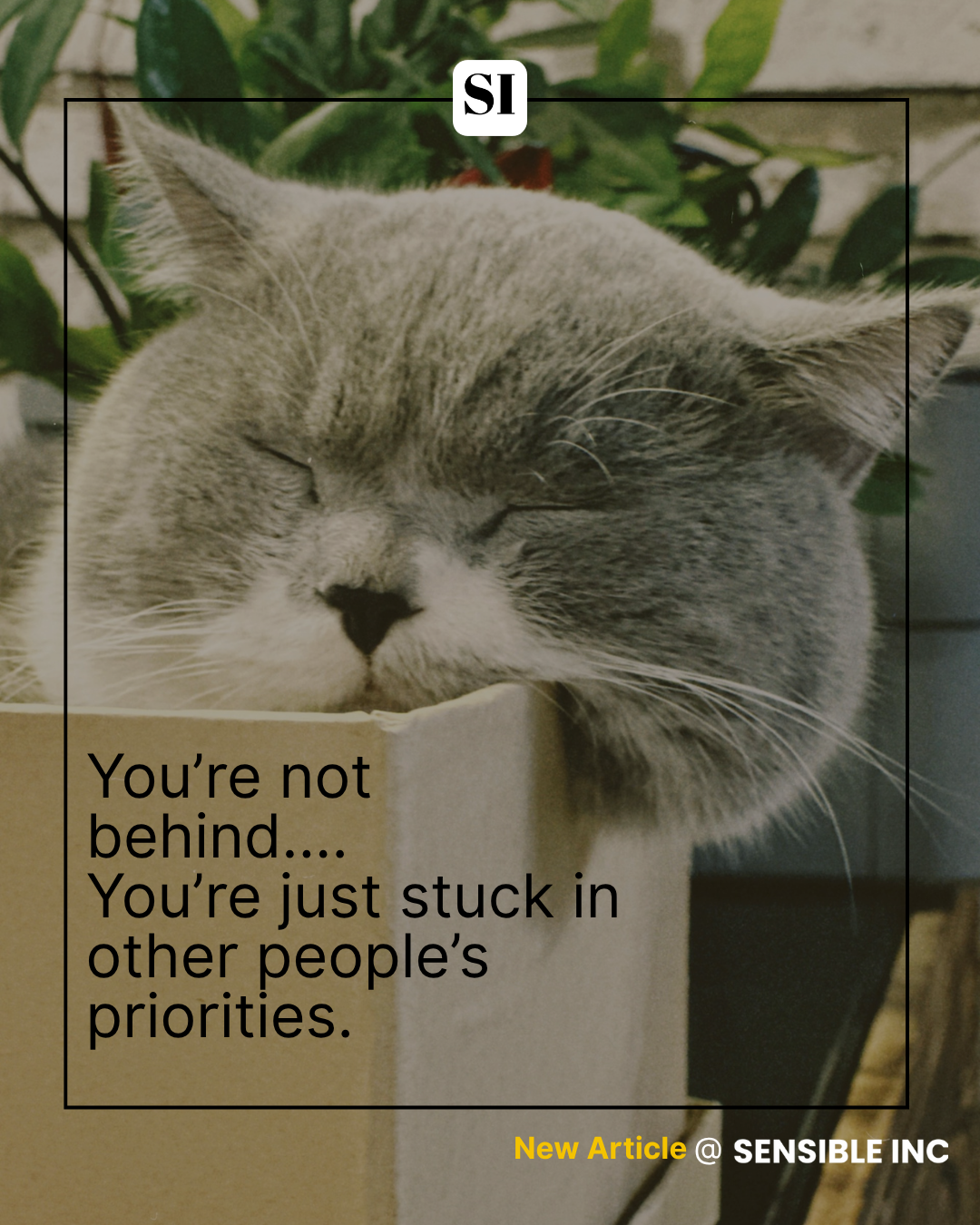 SM01D_PriorityTasks_Post.Gallery